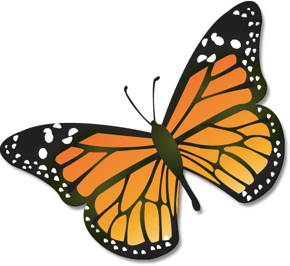Cartoon Monarch Butterfly | Clipart library - Free Clipart Images