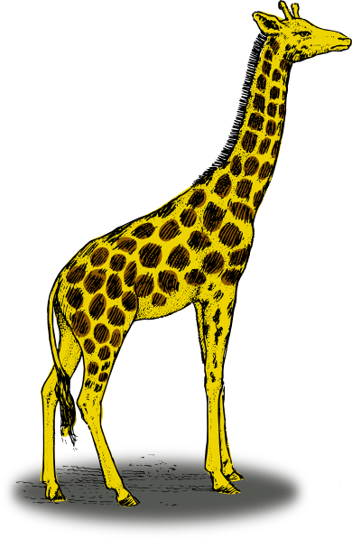 Giraffe clip art - vector clip art online, royalty free  public 