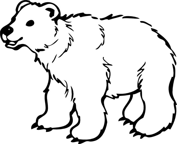 Clipart Black And White Bear - Clipart library