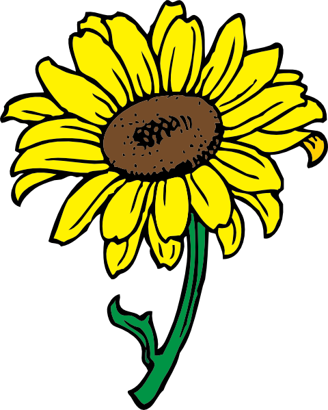Sunflower clip art - vector clip art online, royalty free  public 
