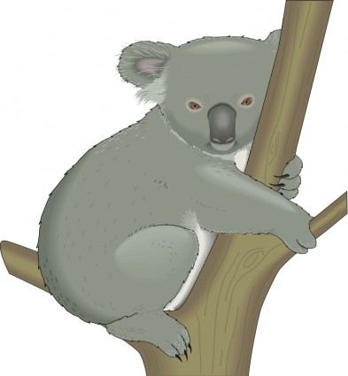 Koala Vector clip art - Free vector for free download - ClipArt 