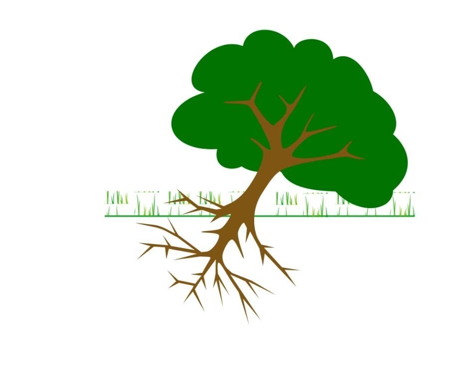Free Cartoon Tree Picture, Download Free Cartoon Tree Picture png images,  Free ClipArts on Clipart Library