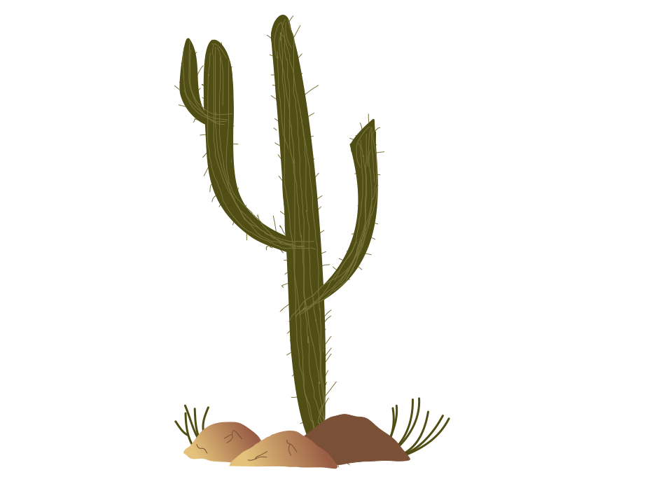mlp fim cactus by thecoltalition on Clipart library