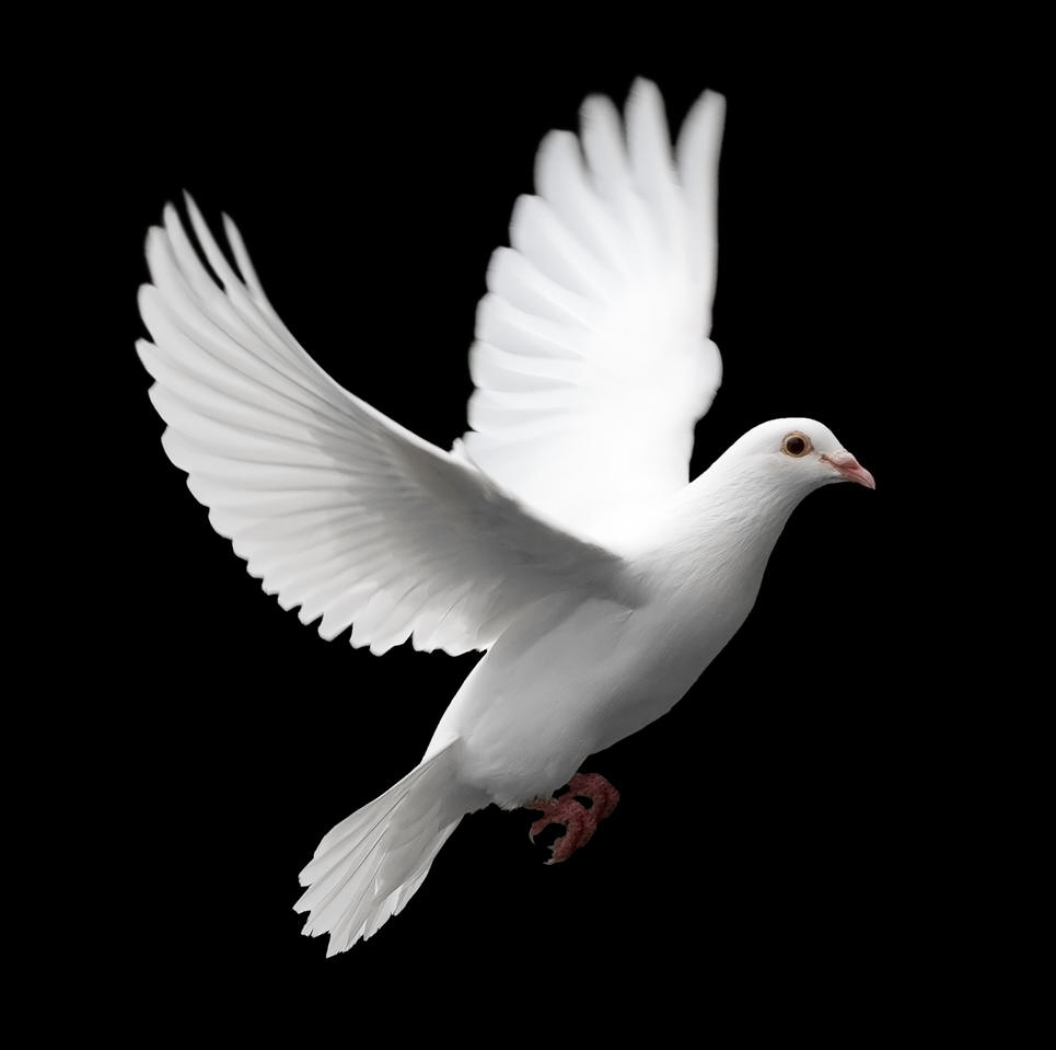At Peace Clipart
