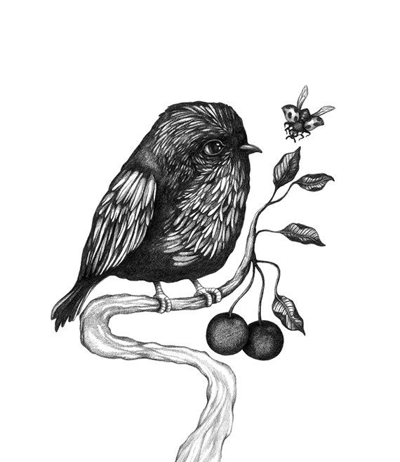 Birdie Black White Print Illustration Ladybug Leaves Cherry Pencil 
