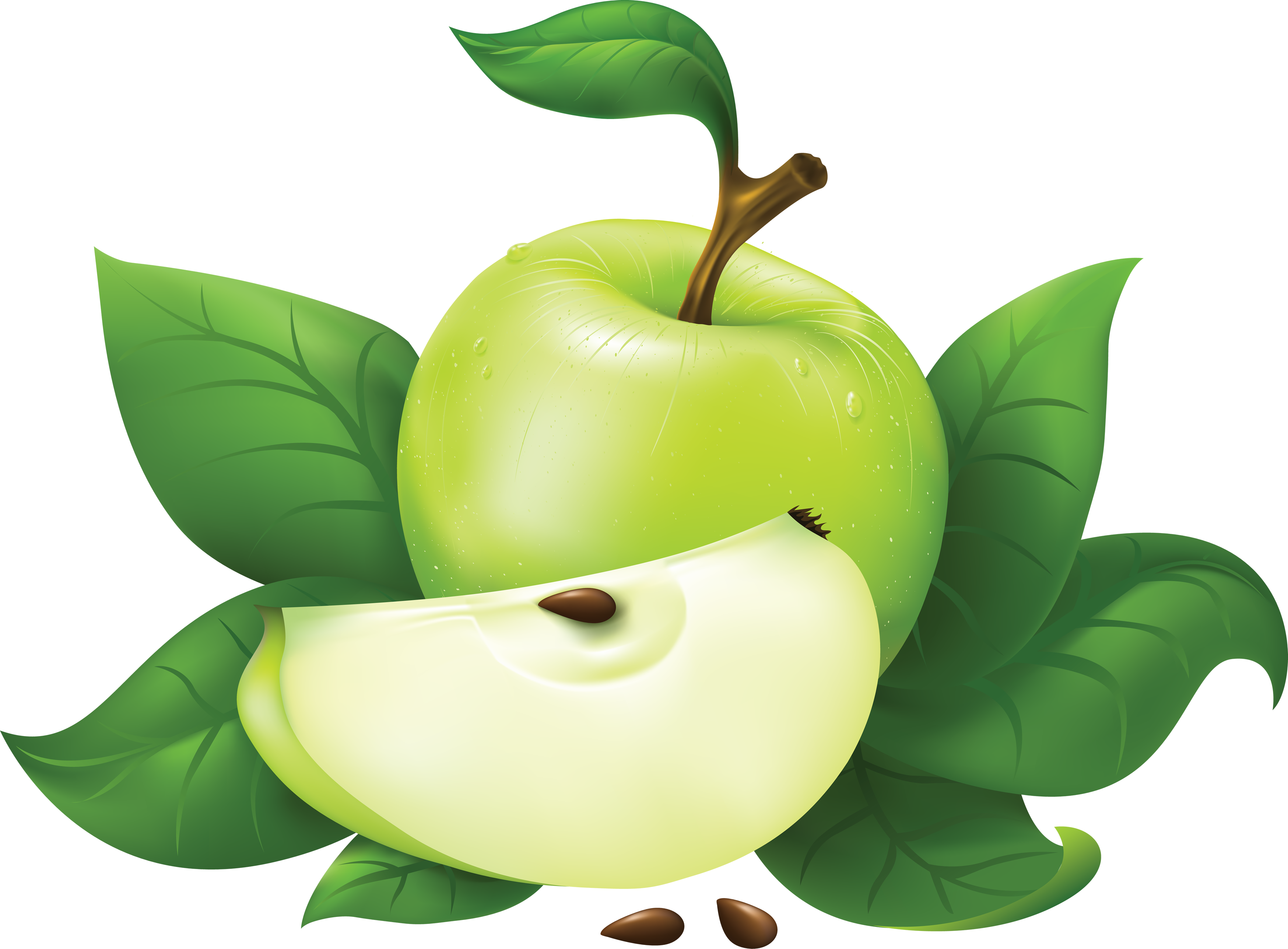 Free Green Apple, Download Free Green Apple png images, Free ClipArts