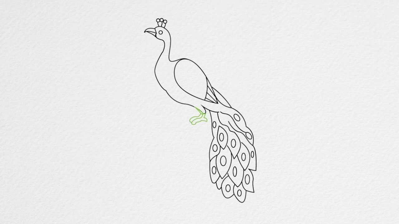 Free Simple Colorful Peacock Drawing Download Free Clip