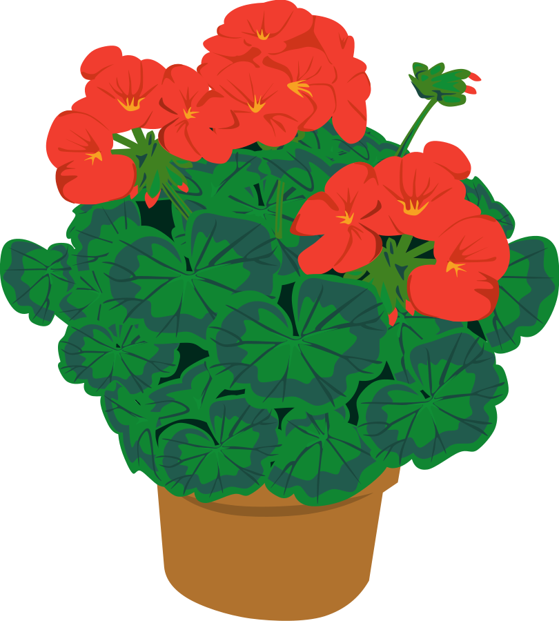 Free Flower Pot Clipart, Download Free Flower Pot Clipart png images