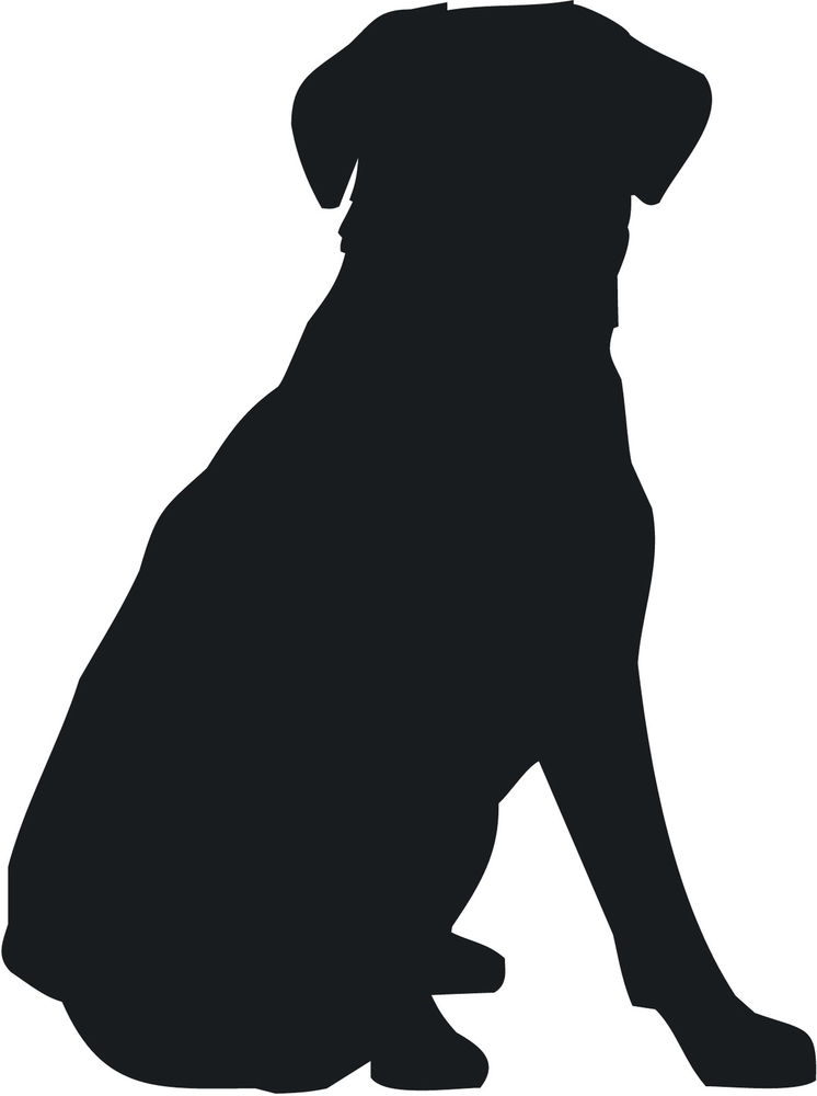 Pix For  Lab Dog Silhouette