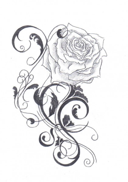 Rose Vine Tattoos For Nature Lovers Tattoo Picture TattooToDo.
