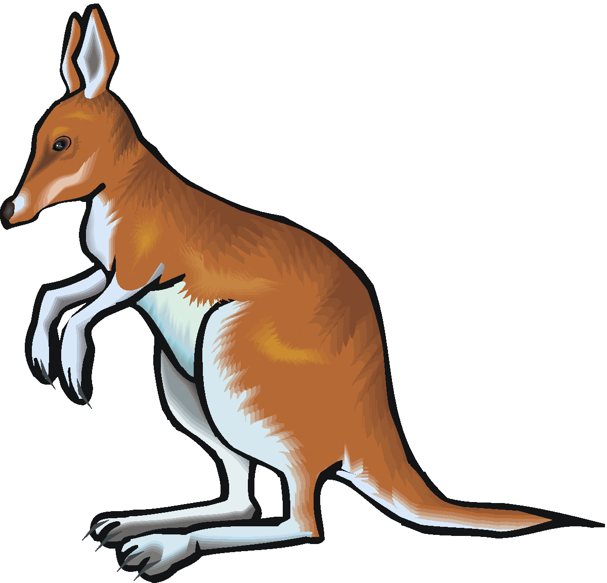 Kangaroo Clipart | Clipart library - Free Clipart Images