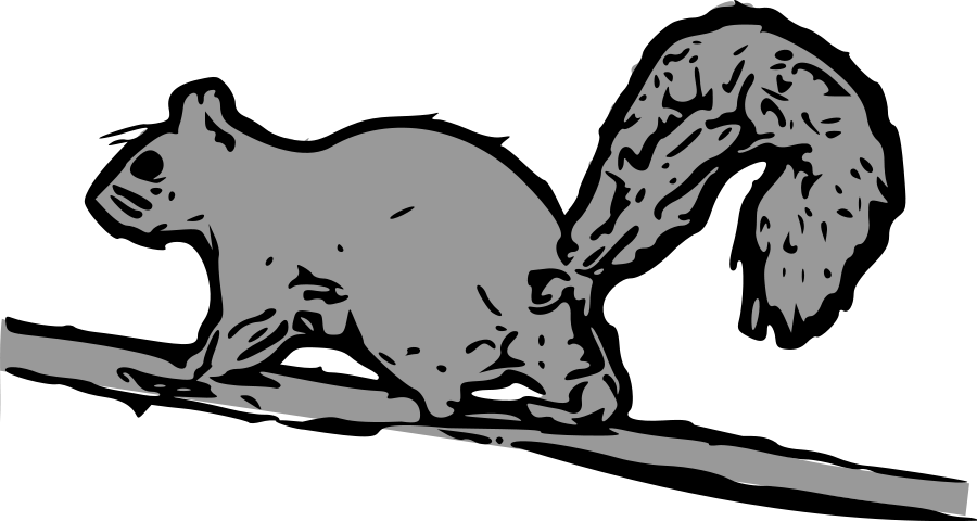 Squirrel Clip Art Black And White | Clipart library - Free Clipart 