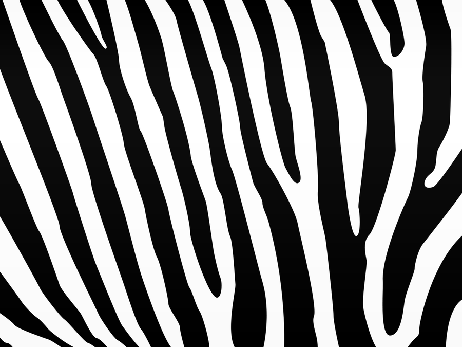 Zebra Desktop Background by OuterSpice on Clipart library