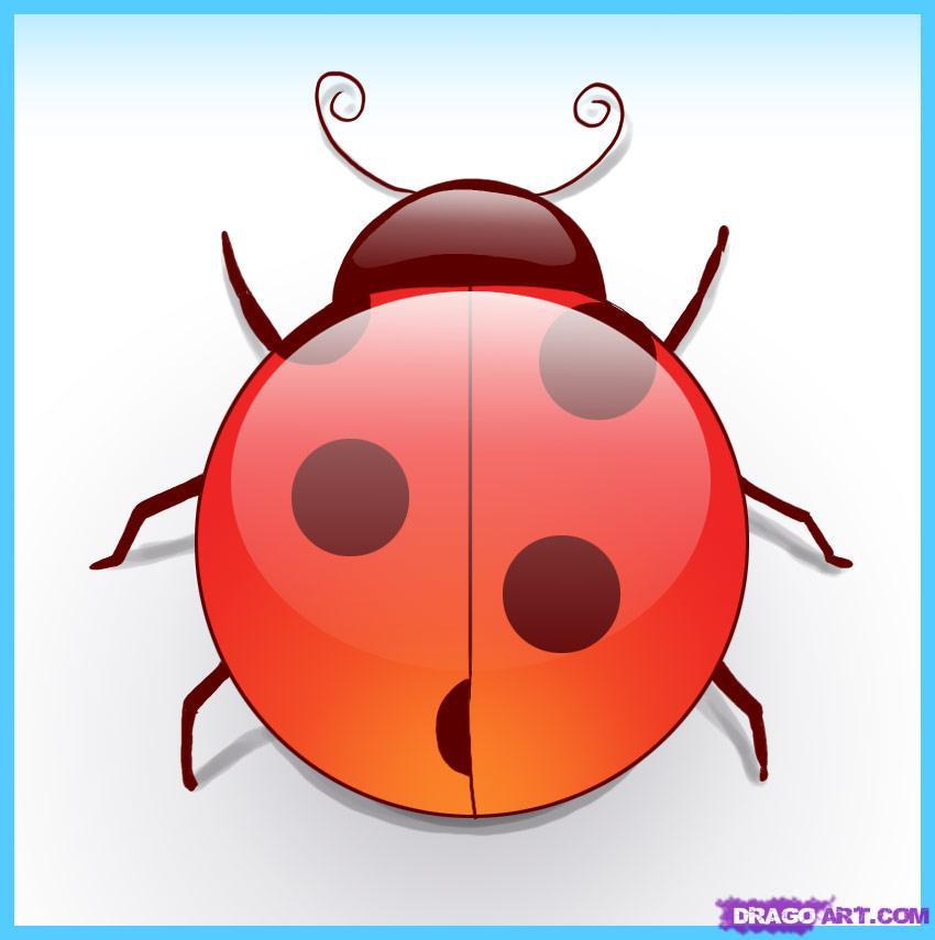 How to Draw a Ladybug, Step by Step, Bugs, Animals, FREE Online 