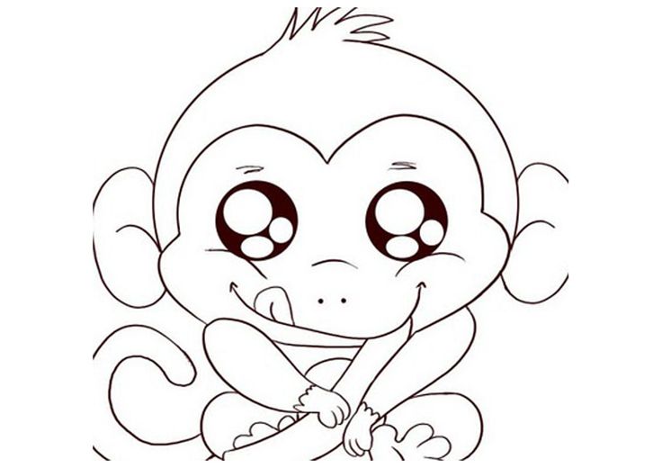 Free Cute Monkey Drawing, Download Free Cute Monkey Drawing png images