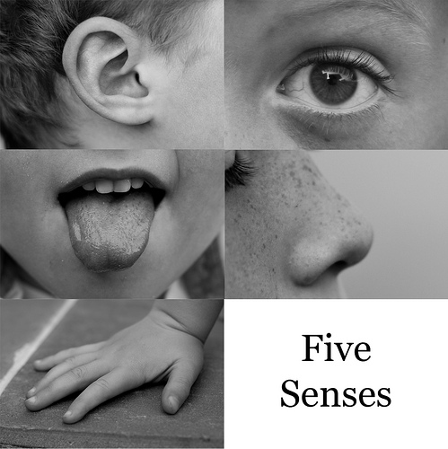 5 Senses Similes | 3/4B