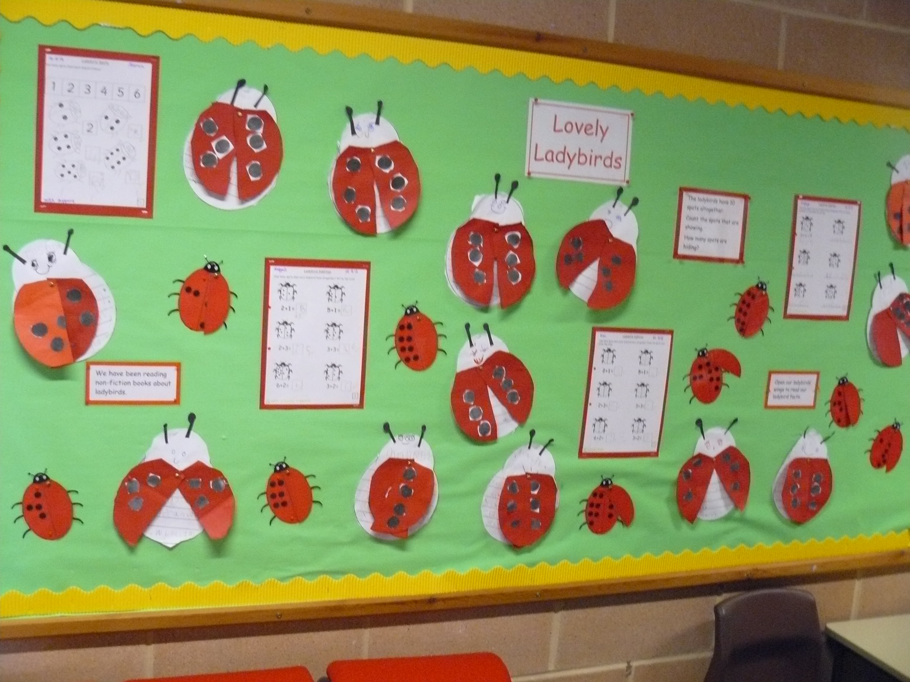 Minibeasts on Clipart library | Reception Class, Classroom Displays and 