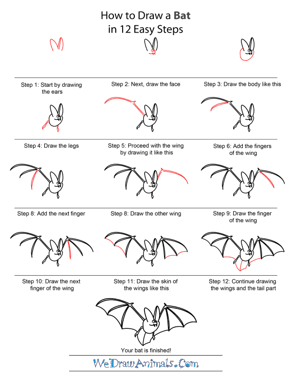 How To Draw A Bat