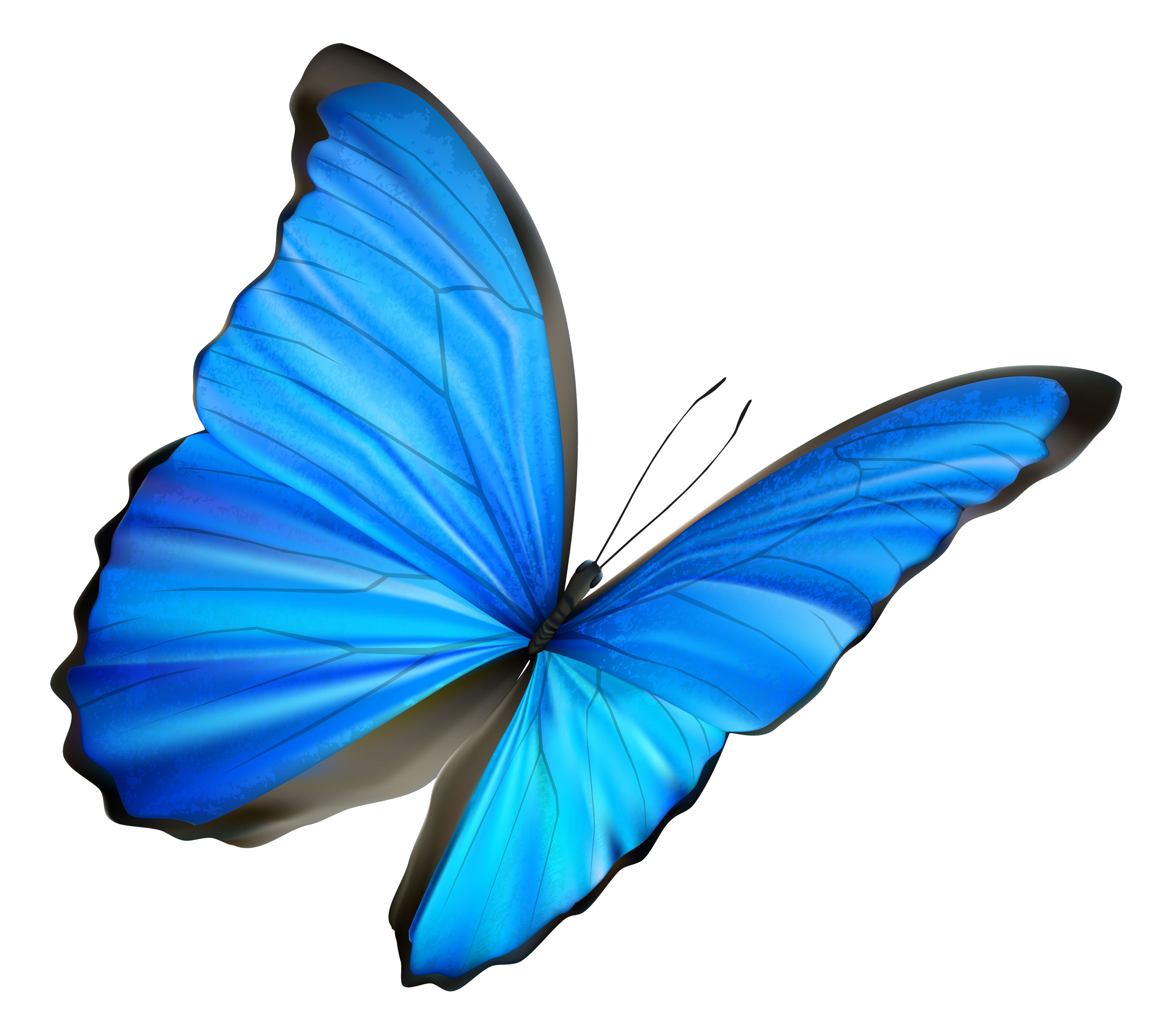 Bright Butterfly Hypnotherapy  Coaching