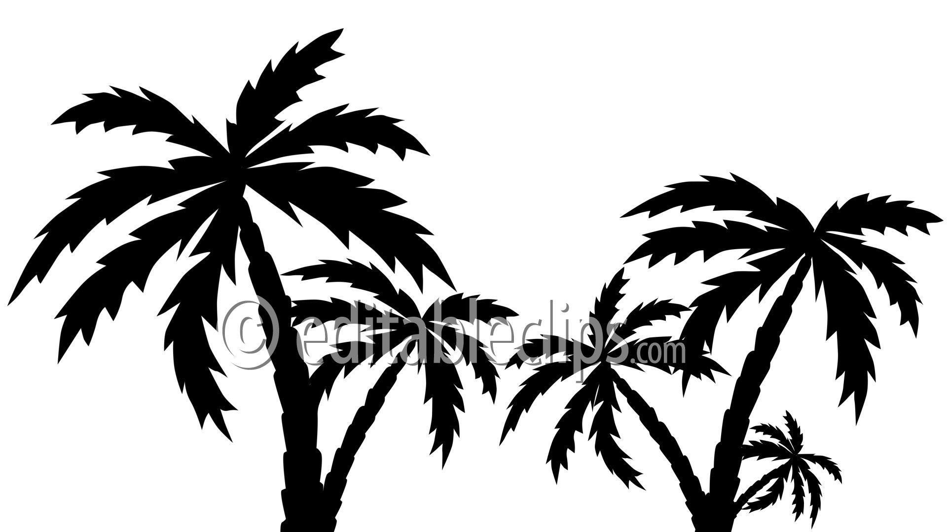 Silhouette palm trees growing - downloadable animation, motion 