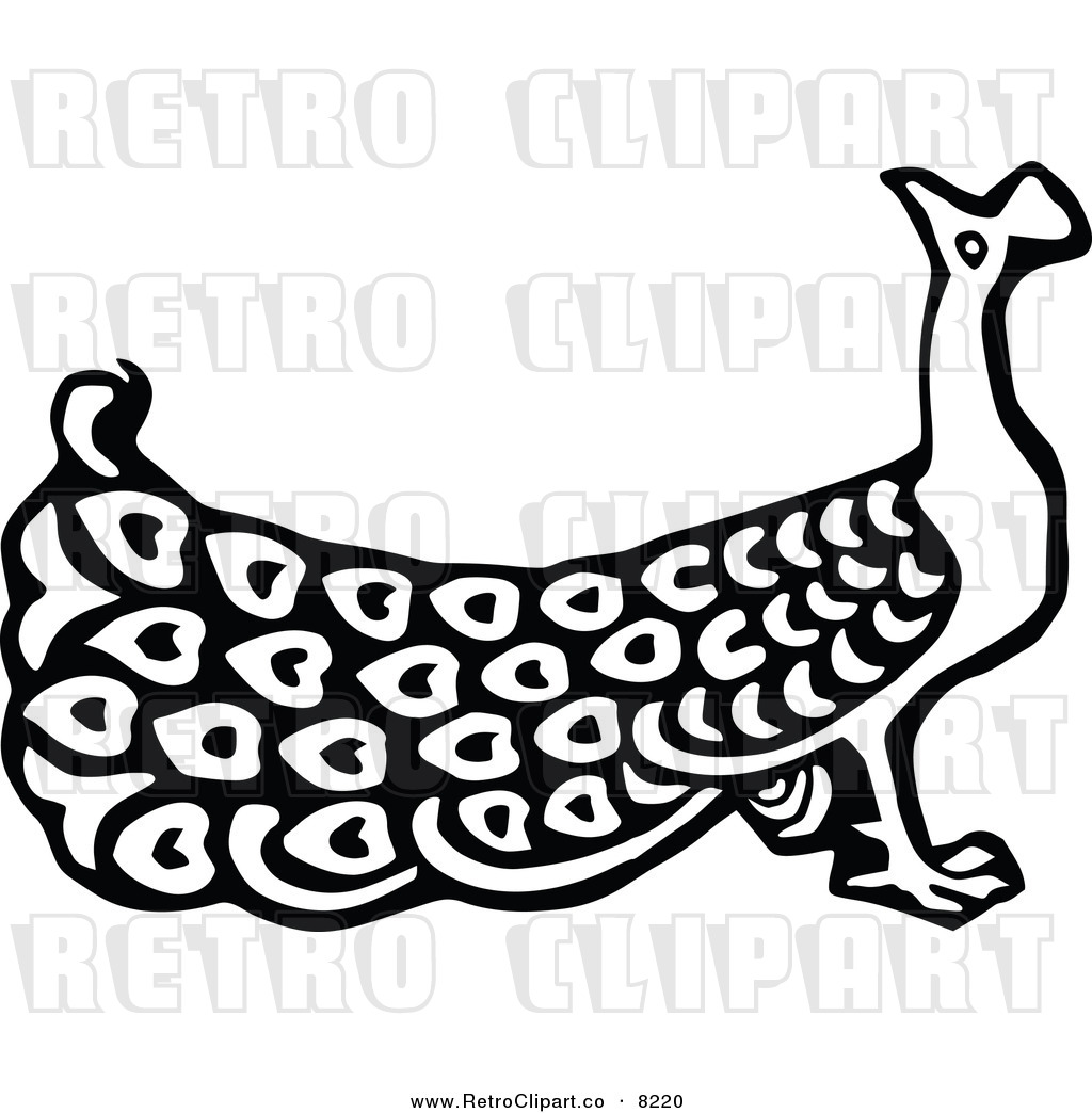 Images  Peacock Drawing Black And White