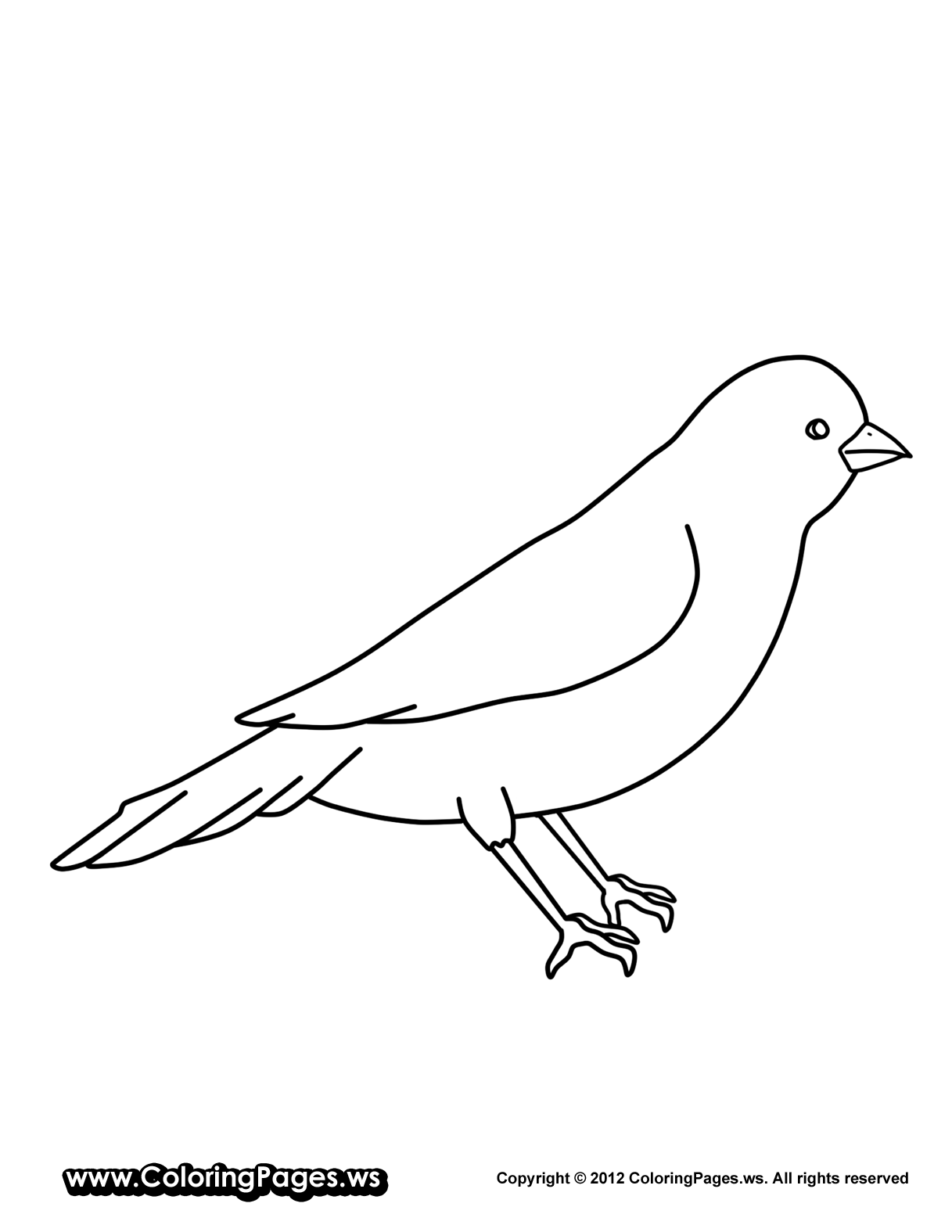 Free coloring pages of canary