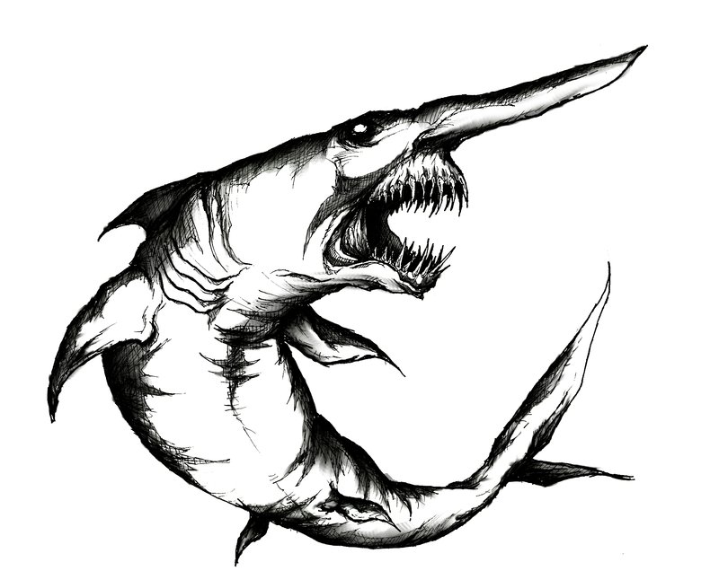 Free Shark Line Art, Download Free Shark Line Art png images, Free
