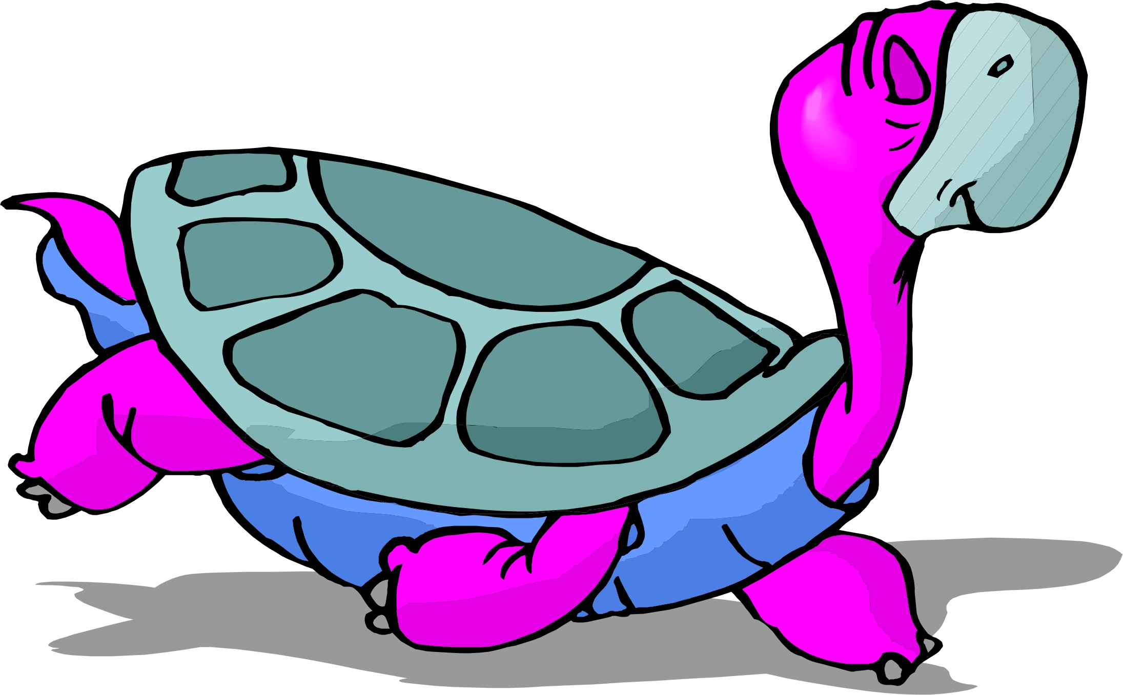 view all Cartoon Turtle Pictures). 