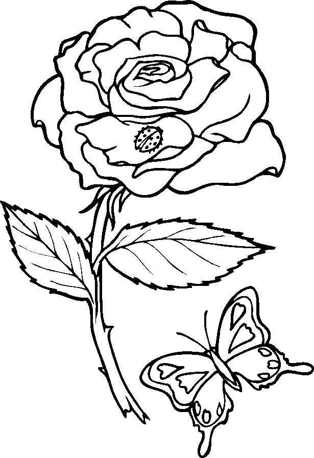 dibihealthrick: coloring pages of hearts with roses