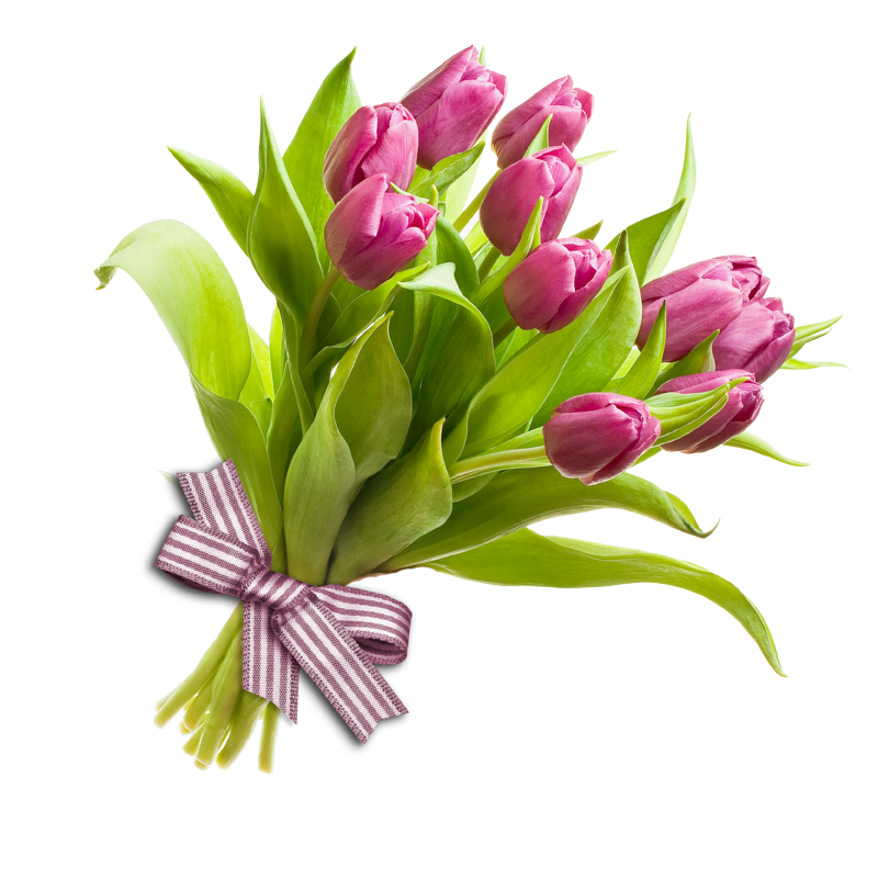 Pink Tulips Flower Bouquet PNG Clipart