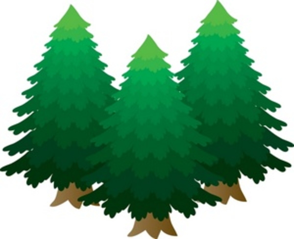A Group Of Pine Trees Smu image - vector clip art online, royalty 