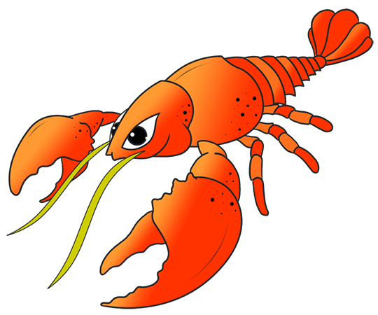 lobster drawing with color - Clip Art Library