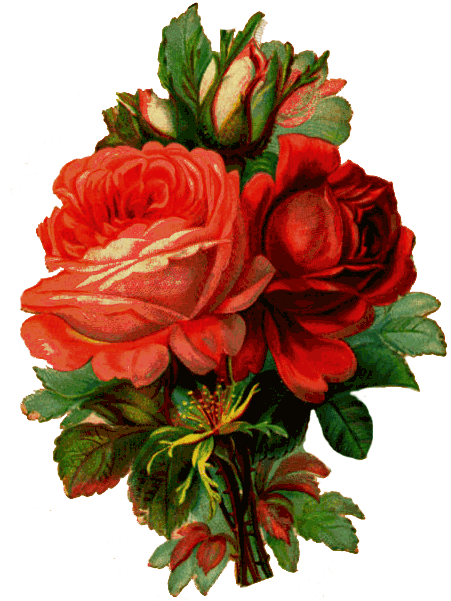 Free Vintage Roses Images, Download Free Vintage Roses Images png