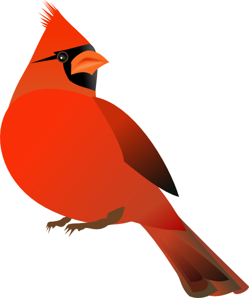 Red Cardinal clip art - vector clip art online, royalty free 