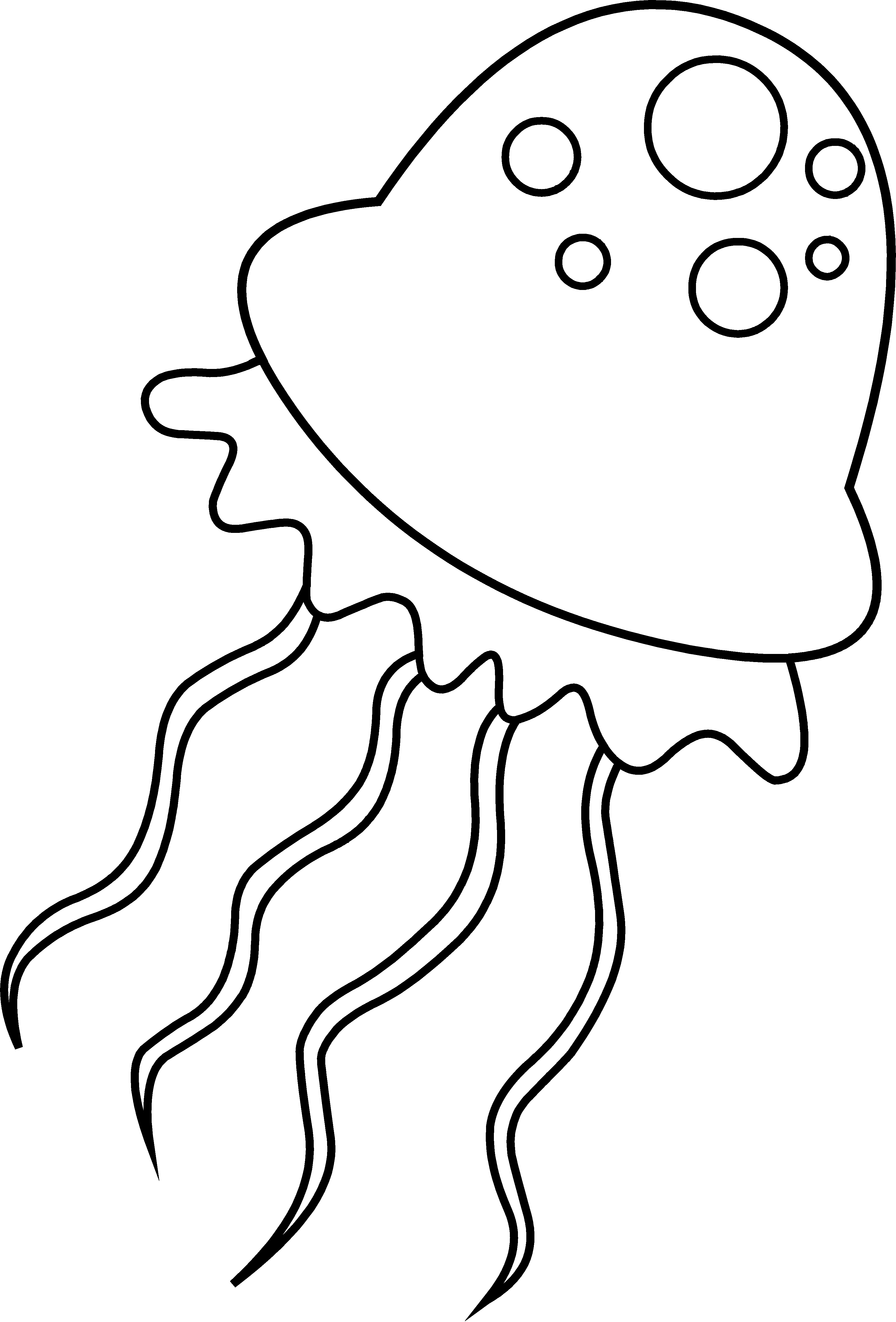 Free Jellyfish Outline Download Free Jellyfish Outline Png Images