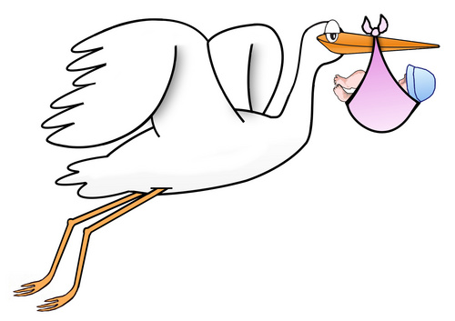 free stork with baby girl clipart - photo #41