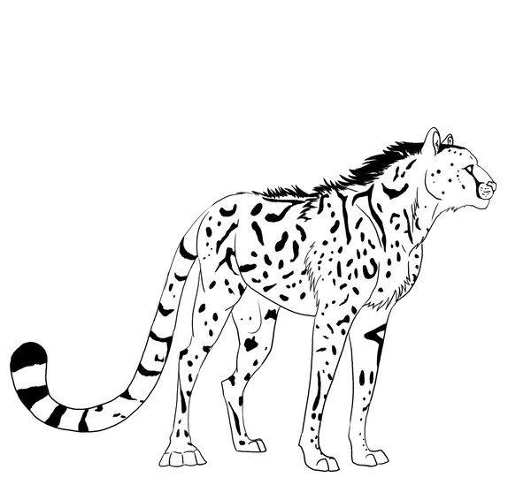 King Cheetah by DarkMoon17 on Clipart library