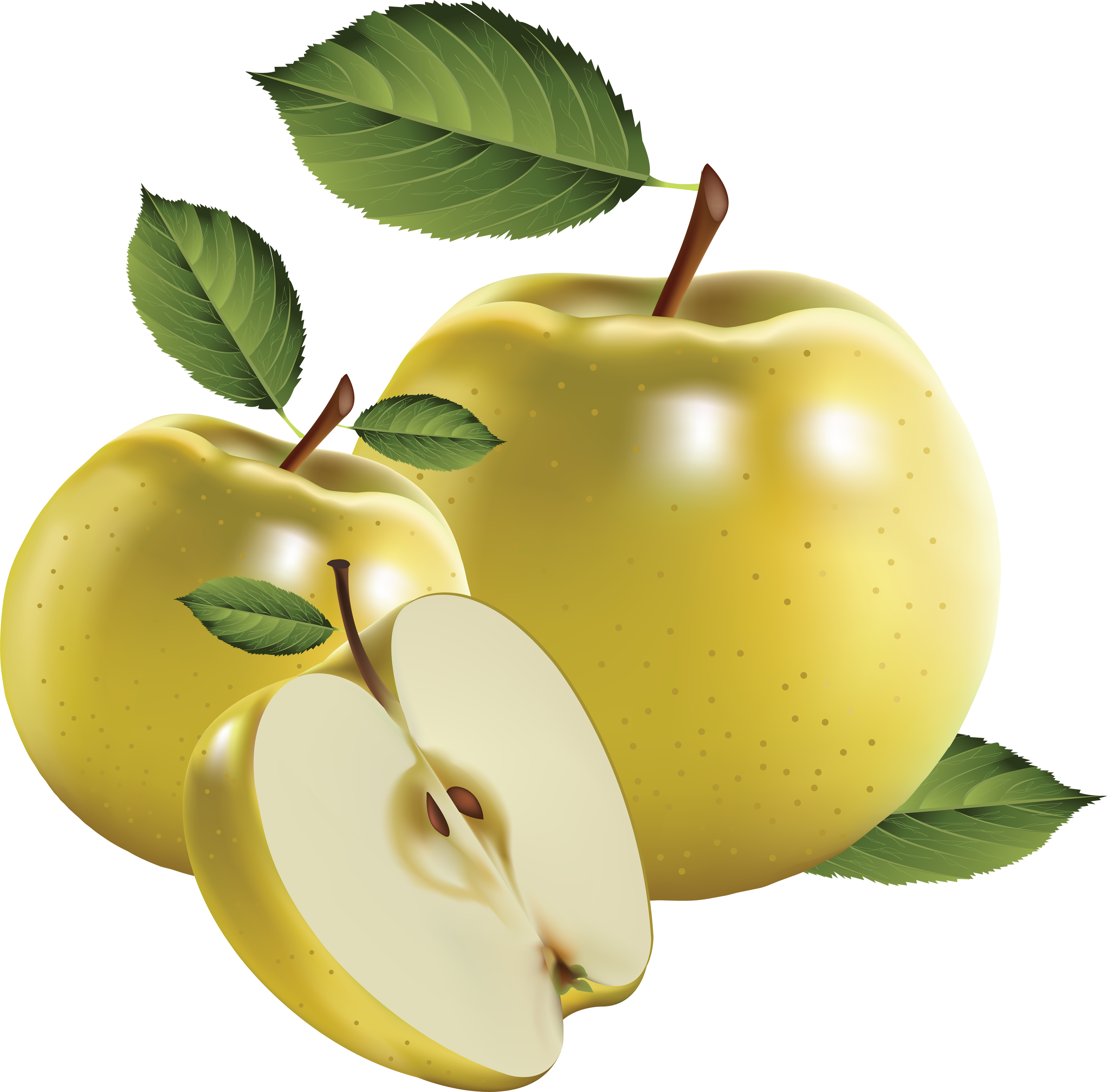 clipart yellow apple - photo #30