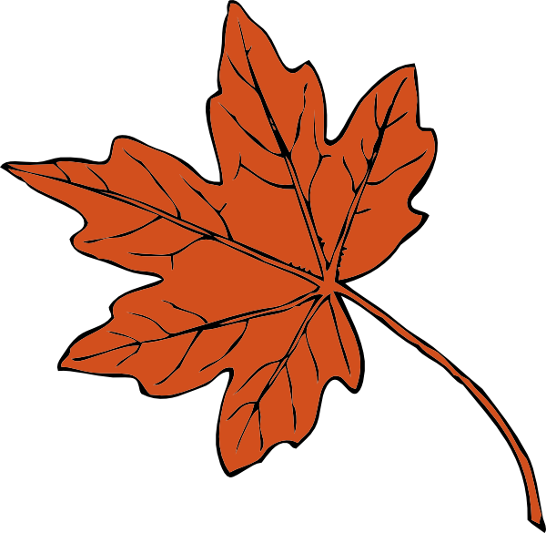 Maple Leaf Graphics - Clipart library