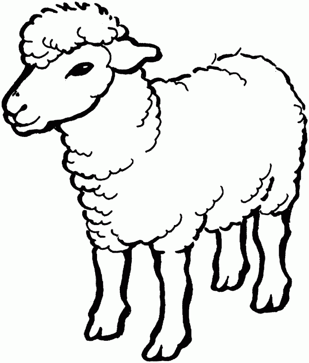 Free Printable Sheep Coloring Pages For Kids - Clipart library 
