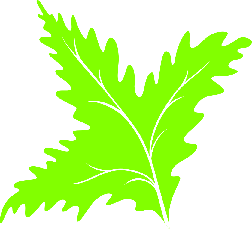 File:Leaf icon 08 - Wikimedia Commons
