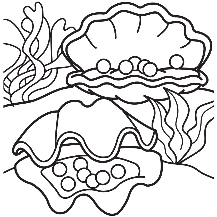fairy Oyster Colouring Pages