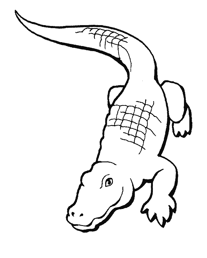 Alley Loo's Coloring Book - Alligator 1