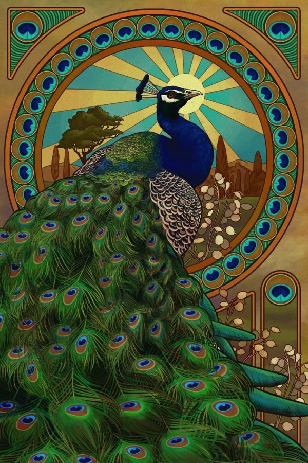 Free Peacock Images Art, Download Free Peacock Images Art png images