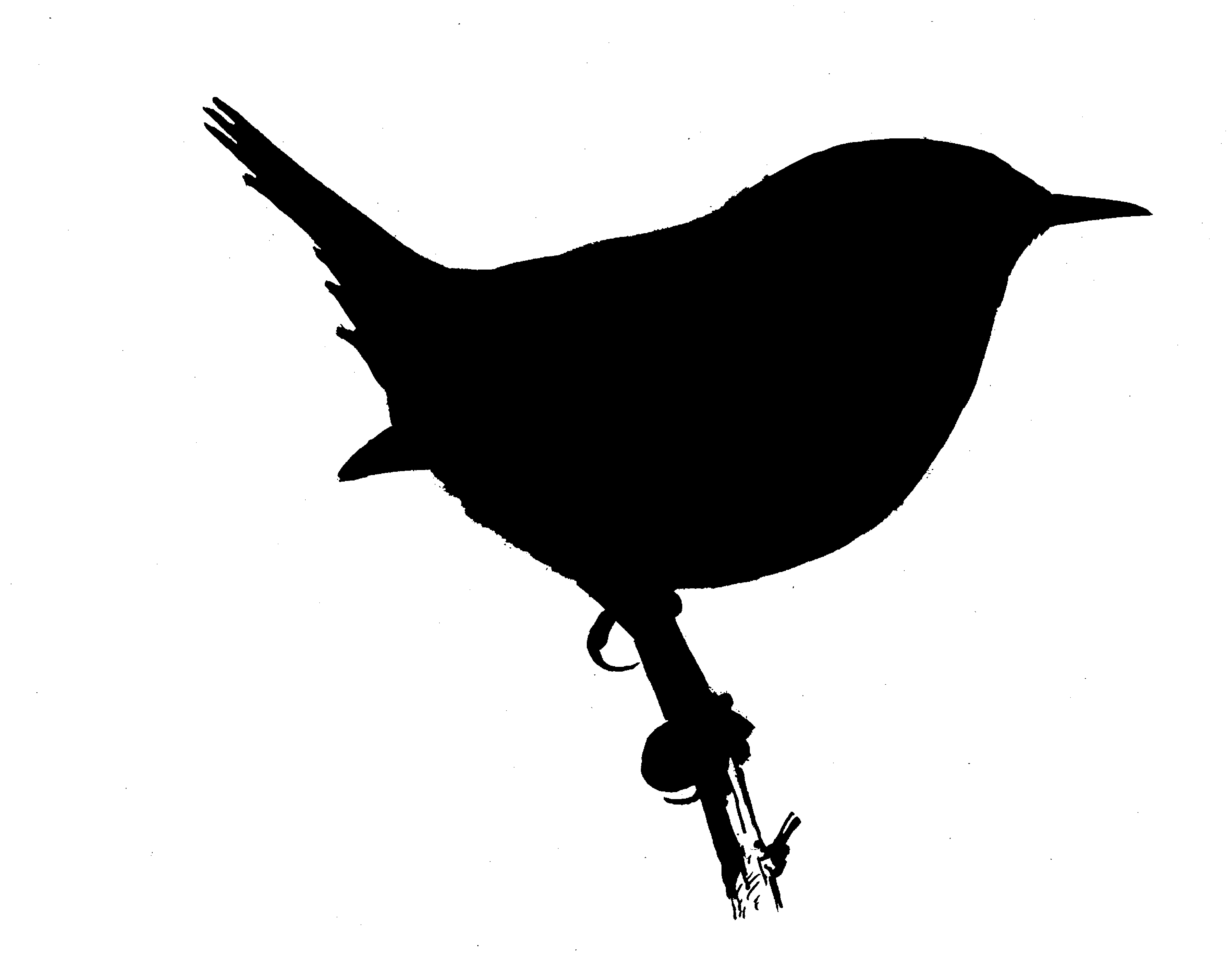 Vector Bird Silhouettes - HD Photos Gallery