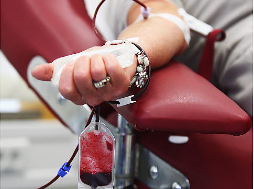 free-blood-donation-download-free-blood-donation-png-images-free