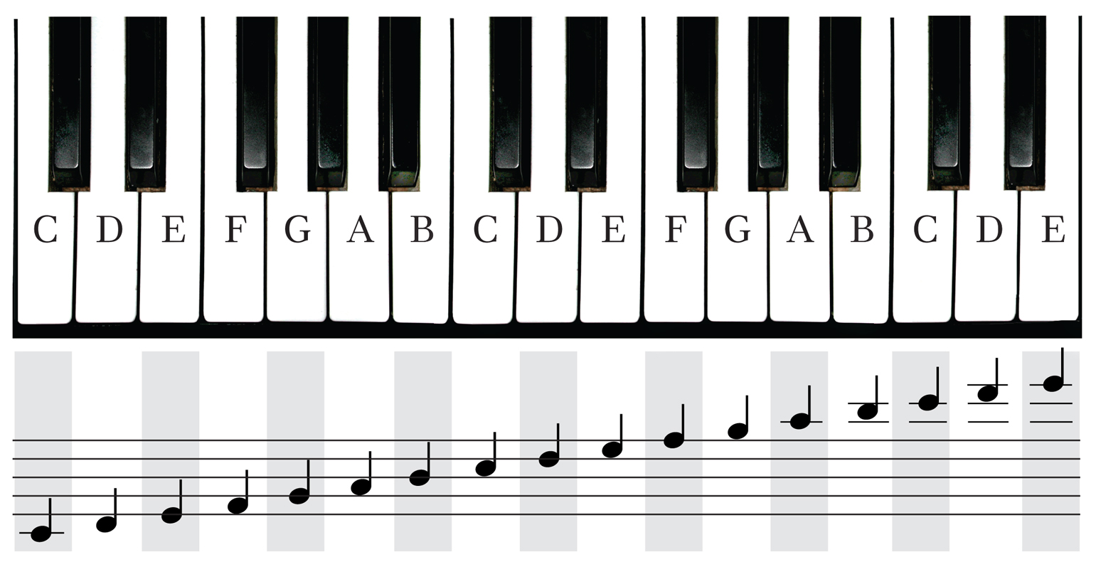 Printable Piano Keyboard Note Chart