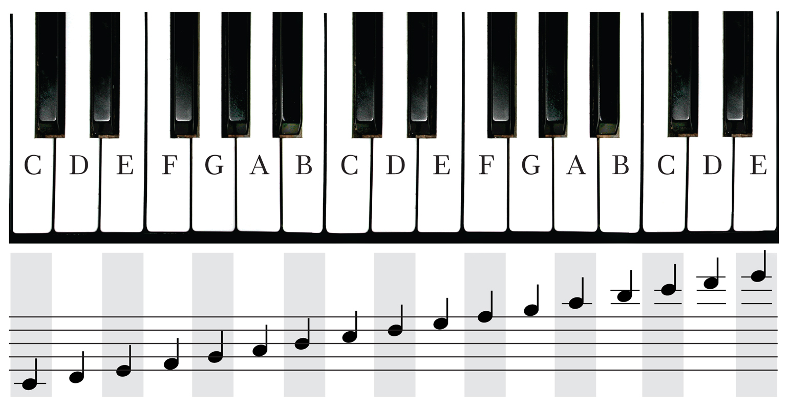 Free Piano Keyboard Images Download Free Piano Keyboard Images Png Images Free ClipArts On 