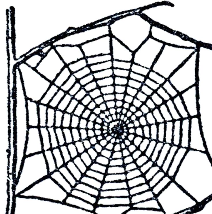 Free Spider Web Clip Art
