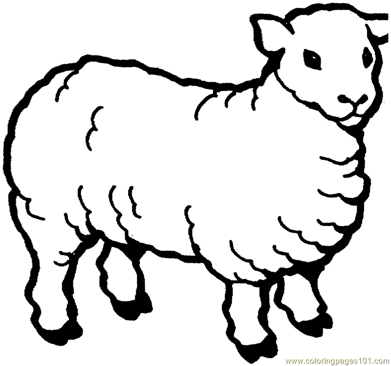 Coloring Pages Sheep (Mammals  Sheeps) - free printable coloring 